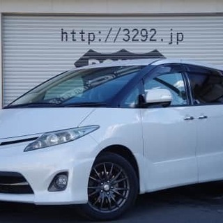 ティマちゃんは永遠に不滅