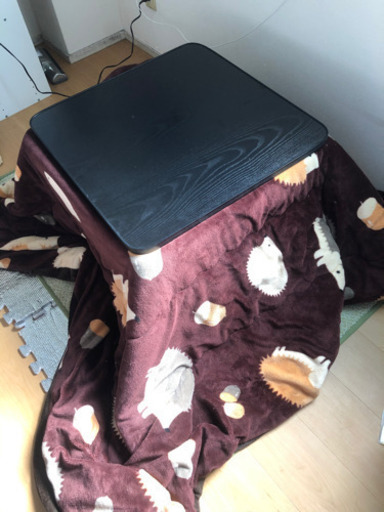 こたつセット