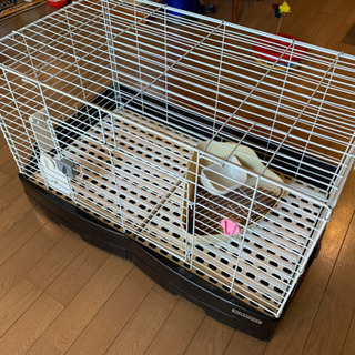 うさぎ小屋　小動物　フルセット　すぐに飼えます