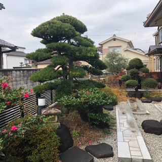 剪定、草刈り😀 - 剪定/造園