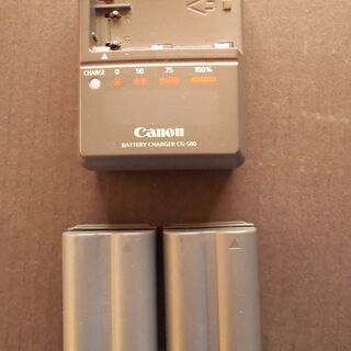 Canon デジタル一眼レフカメラ ＥOＳ ５０Ｄレンズセットの画像