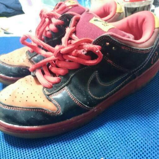 NIKE ダンクSB ハワイ 28㎝