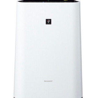 ☆都 白龍(Sato Hakuryu)インドネシア・バリ精霊術アイテム(白魔術・黒