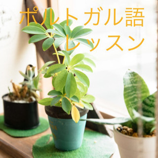 初心者の方ＯＫ☆ブラジル人🇧🇷の先生とブラジルポルトガル語で会話...