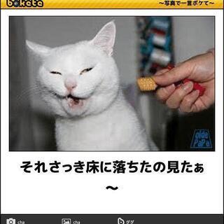 見たい映画がある時に気軽に誘い合える趣味友達募集😃 - メンバー募集