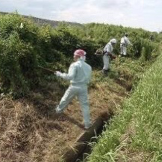 各種手元、未経験者OK！