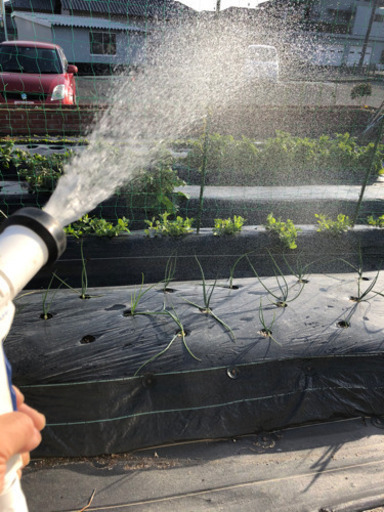 1tタンクとポンプで雨水を利用した水撒き設備
