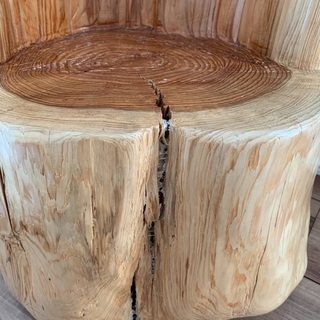 杉の木　椅子の画像