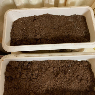 家庭菜園セット