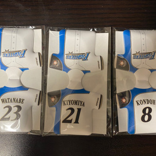 日ハムはさめるマグネット