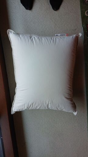 IKEA GULDPALM 枕