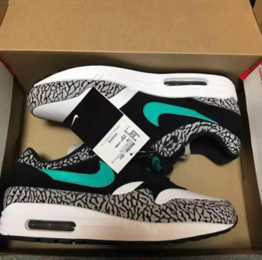 NIKE エアマックス1