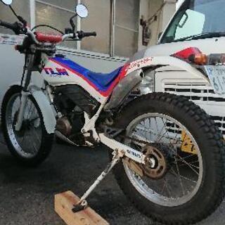 【1988'TLM220Ｒ 2stトライアル】ホンダ （検 オフ車 MD TL TLR XT XL MTX CR YT TS DT KDX の画像