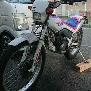 【1988'TLM220Ｒ 2stトライアル】ホンダ （検 オフ車 MD TL TLR XT XL MTX CR YT TS DT KDX の画像