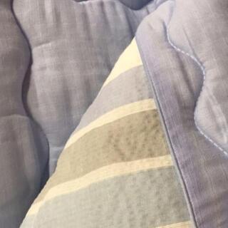 ✨モリリン ✨しじら織り 肌掛けふとん&消臭敷きパッド ブルー シングルの画像