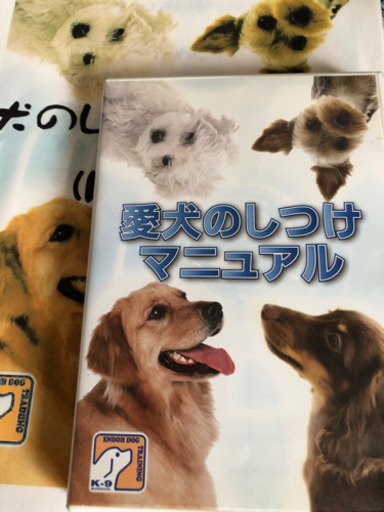 犬のしつけマニュアル