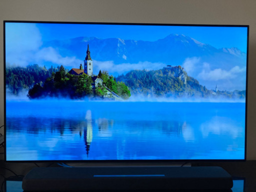 LG OLED55C7P 有機EL TV 55型