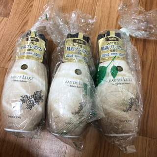 レノア オードリュクス イノセント