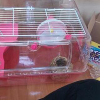 お取引中　大きめハムスター飼育セット
