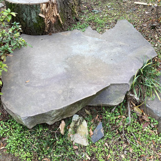 庭石 差し上げますの画像