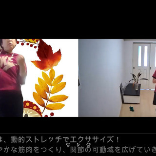30分で歩きが改善するストレッチ講座！ZOOMオンラインと耳で学ぶ。隙間時間で行う免疫力アップする身体つくりの画像