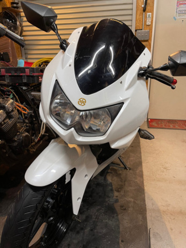 ニンジャ250