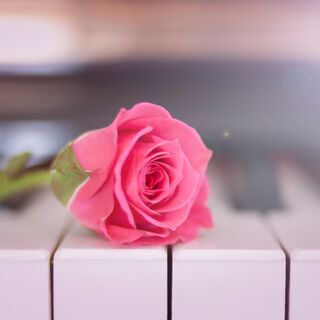 ♪小さなお子さんから大人の方まで楽しく音楽（ピアノ・歌・他）しませんか♪の画像