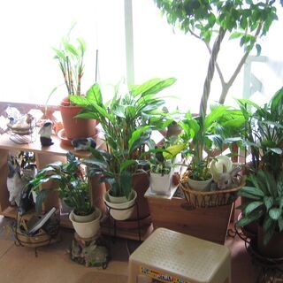 【教室お貸しします】