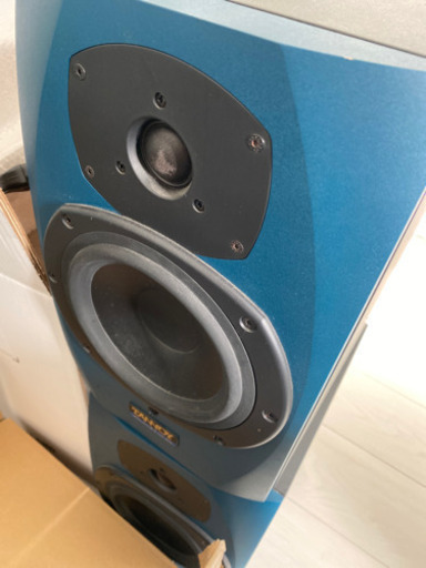 TANNOY REVEAL(パワードスピーカー)