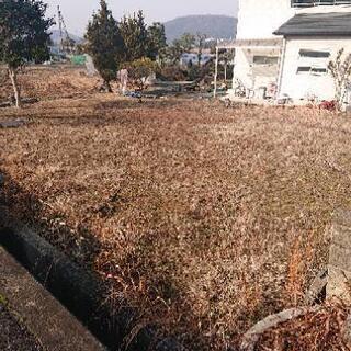 貸農園どうですか？