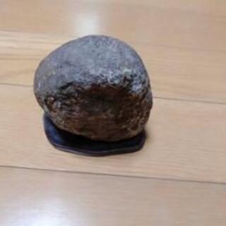鑑賞石 　縦約15㌢　横約15㌢　緑系の画像