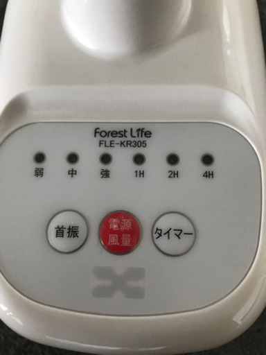 せんぷき/ファン