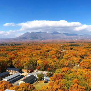 日本一周 - 豊島区