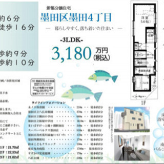 新築3LDK一戸建て葛飾区