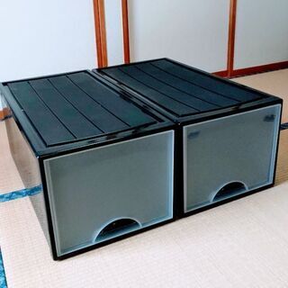 押入れ衣装収納ケース②2個組の画像
