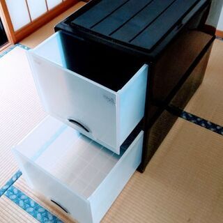 押入れ衣装収納ケース②2個組の画像