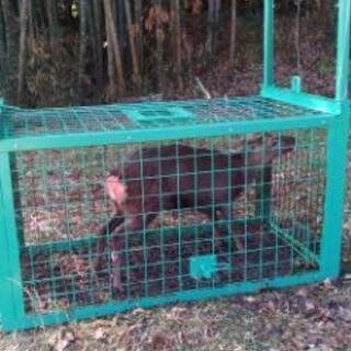 猪、鹿等用の箱罠設置いたします！