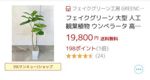 人工観葉植物　フィカスウンベラータ　フェイクグリーン　中古
