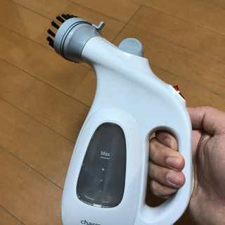 決めました　スチームアイロンの画像