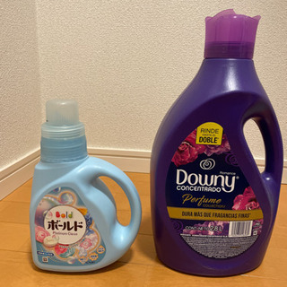 ボールド　ダウニーの画像