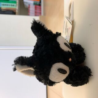 魔女の宅急便　ジジのぬいぐるみ　