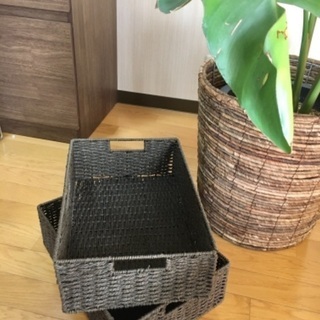 可愛い収納ケース♪♪