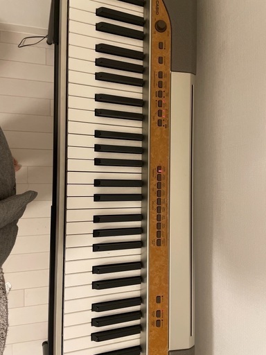 カシオ Privia PX-110