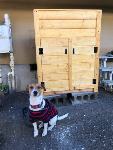 小屋風　物入れ