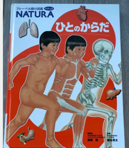 図鑑セット