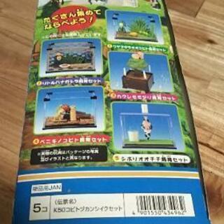 値下げ❗️超レア❗️こびとづかん飼育セットの画像