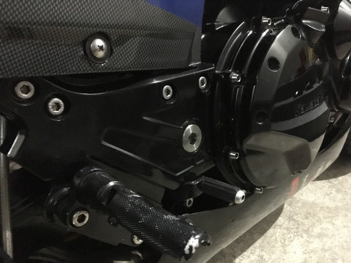 gpz900  チタンピボット