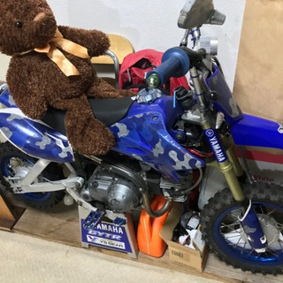 TTR50の画像