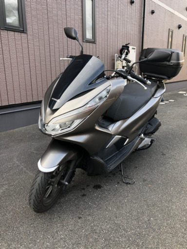 人気のpcx125初年度登録令和1年（jf81）