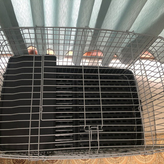小動物ゲージの画像